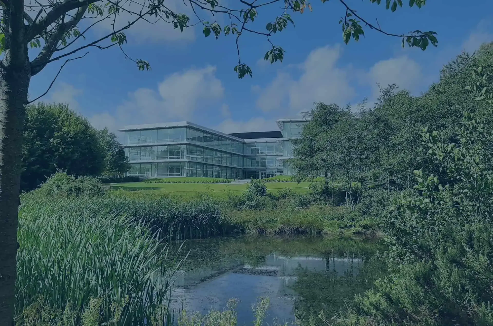 Bea building behind a lake - home page banner