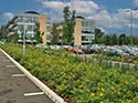 Greenery in a car park