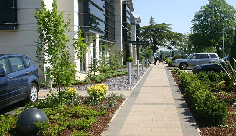 Pathway with greenery outside a large, modern building